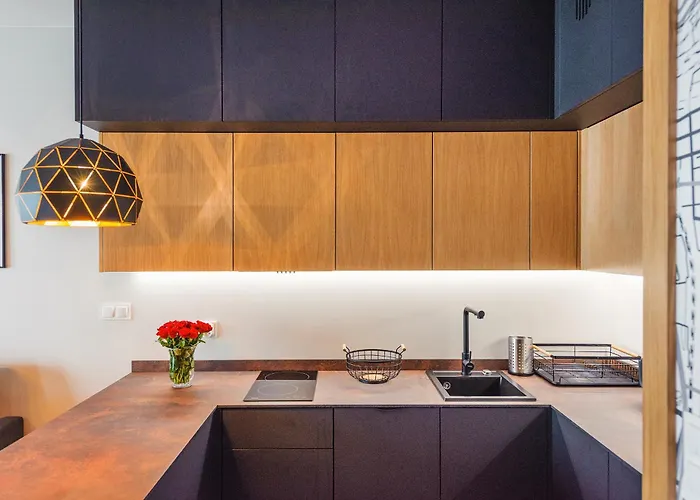 Baltic Breeze 公寓 格丁尼亚